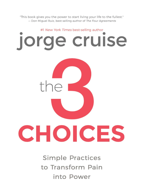 The 3 Choices by Jorge Cruise